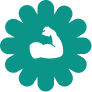 Boost Strength 