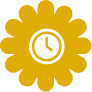 Time & Session Modes